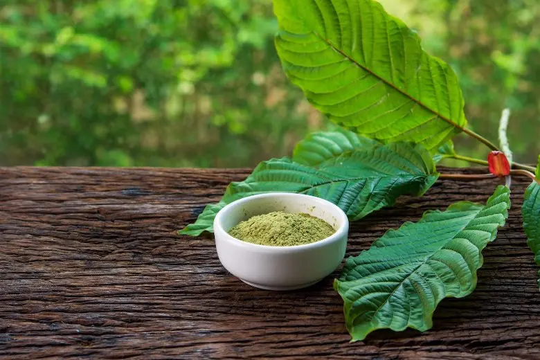 Unleashing the Power of the Best Kratom Strains for Every Mood