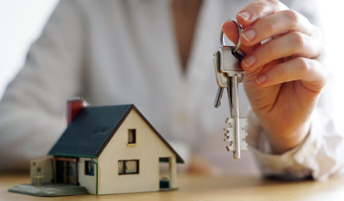 the property buying company