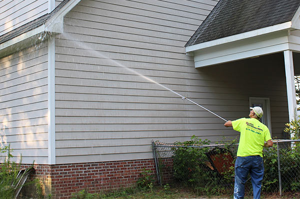 Roof Algae Removal on Long Island: Why Professional Services Are Essential