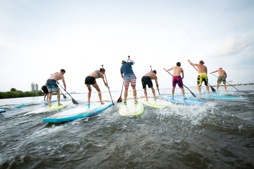 paddle board rentals on Anna maria Island