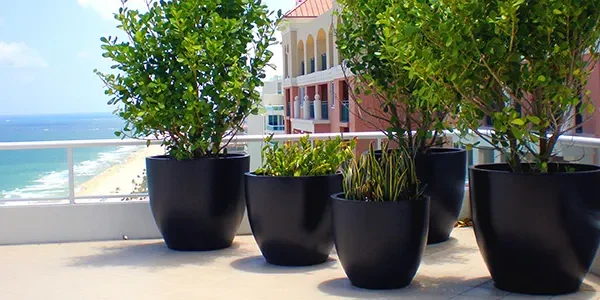 Hard-Wearing Pottery