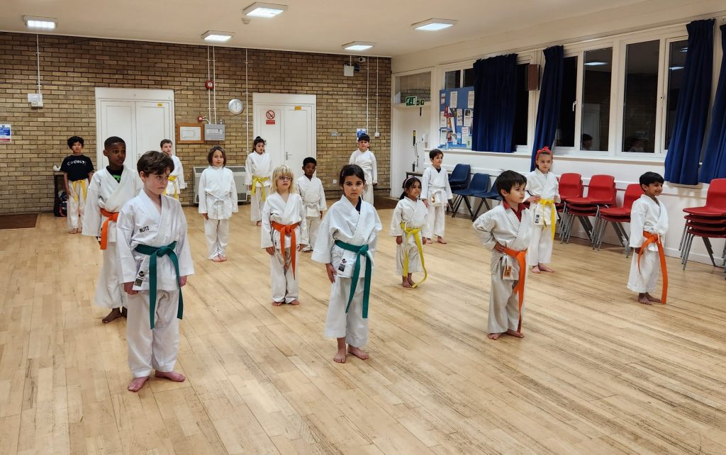 Karate Training